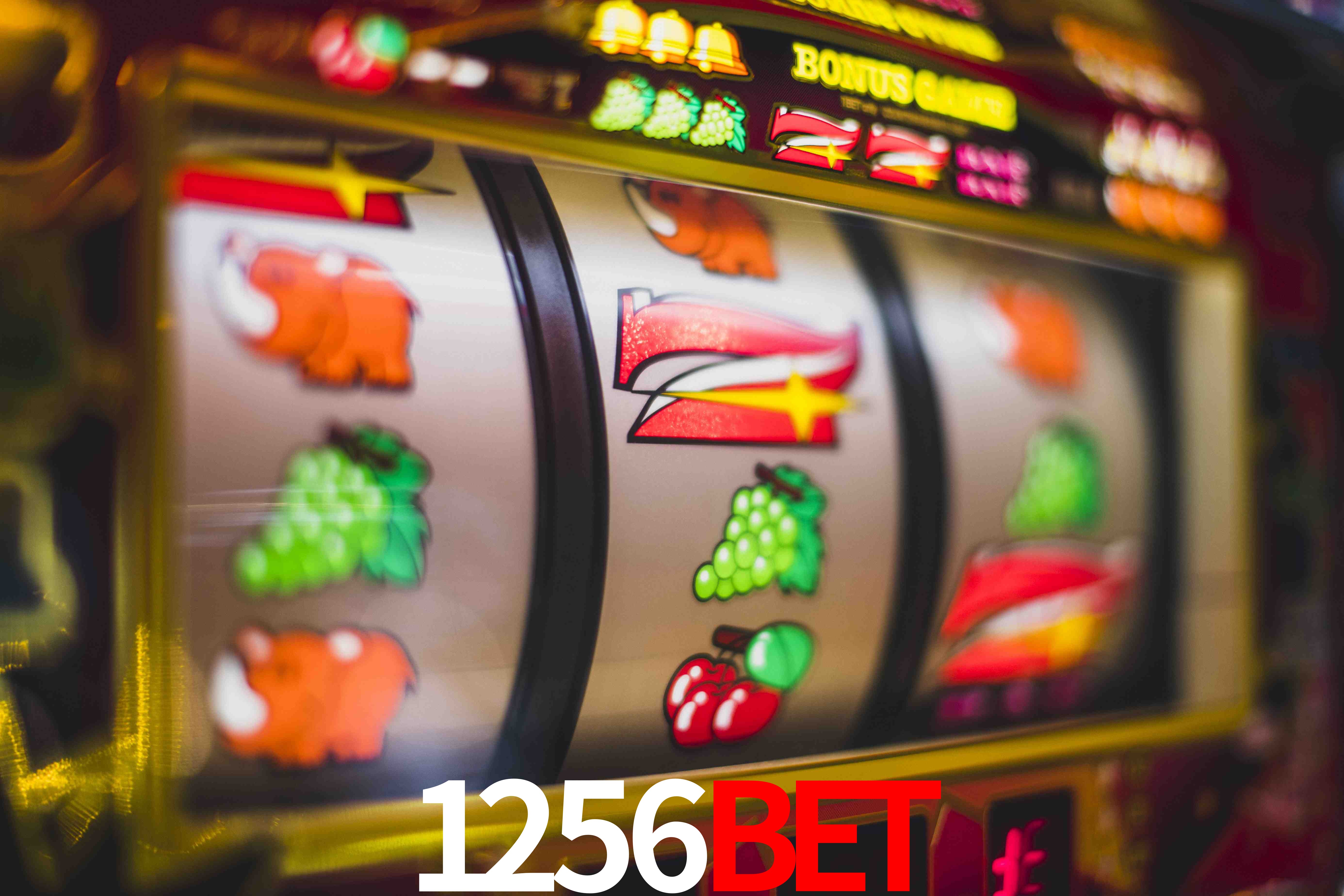 Crash Games Statistics 1256bet